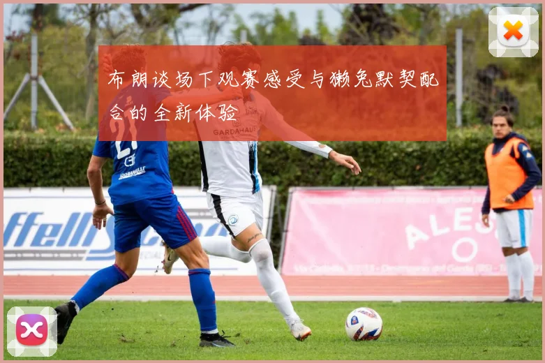 布朗谈场下观赛感受与獭兔默契配合的全新体验