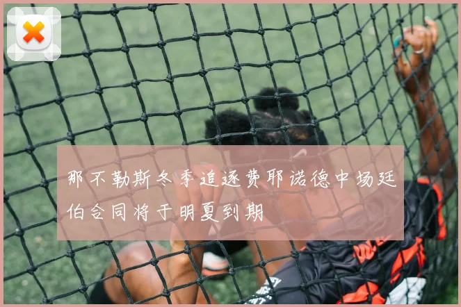 那不勒斯冬季追逐费耶诺德中场廷伯合同将于明夏到期